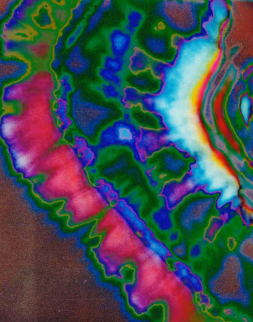 Item #8400110007 Media