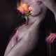 Floral silhouettes