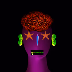 Item Media