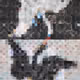 66