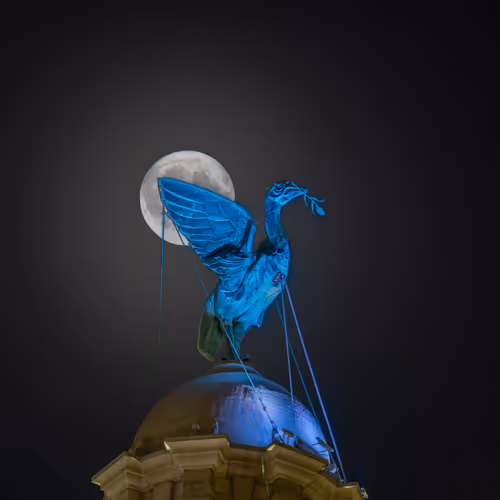 Liverpool Luminosity