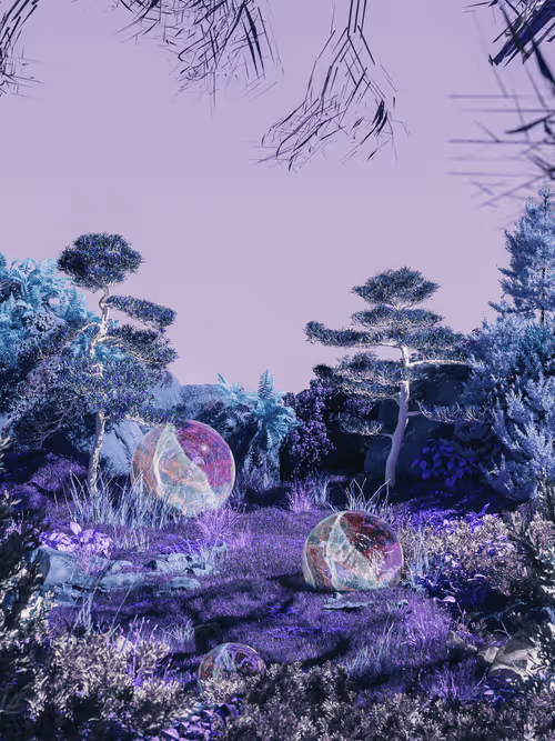 FEW Genesis #310