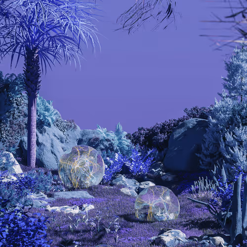 FEW Genesis #55