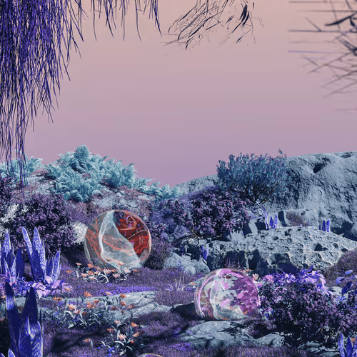 FEW Genesis #258