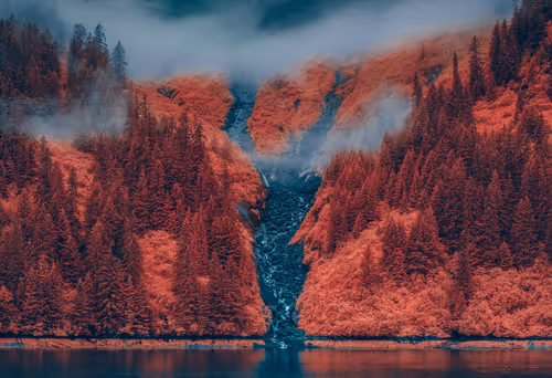 Item #37400020001 Media