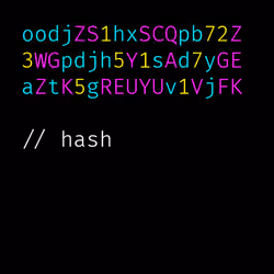 The Neon Hash #65