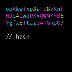 The Neon Hash #49
