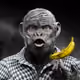 1621