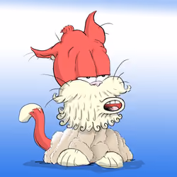 #33
