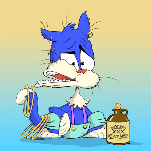 Hiddenkittencity