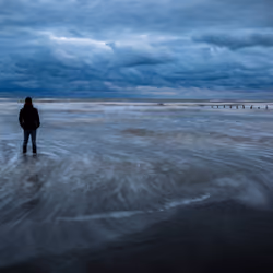 Where the Sea Meets Silence