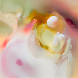 801 Lab Genesis #565
