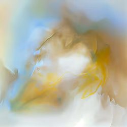 801 Lab Genesis #738