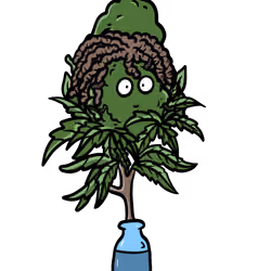 Cheese Chem