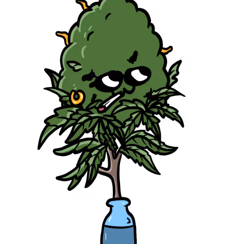 Royal Lime