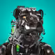 2065
