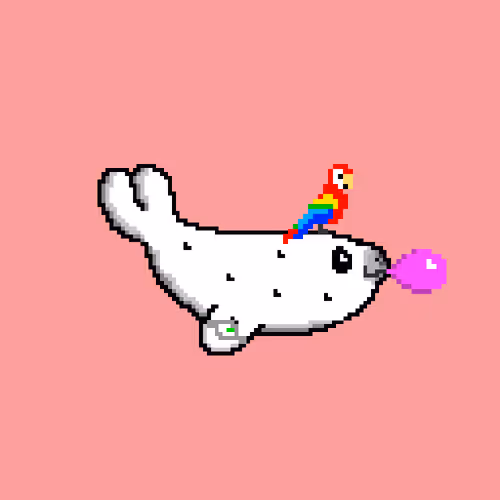 Baby Seal 4