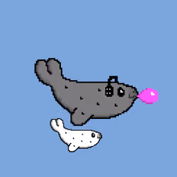Baby Seal 19