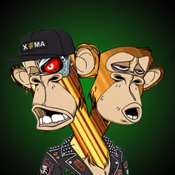 Ape #1571
