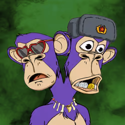 Ape #1719