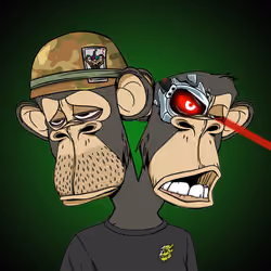 Ape #2570