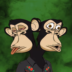 Ape #1702