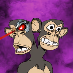 Ape #1905
