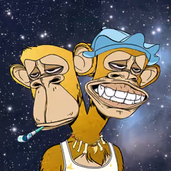 Ape #2527