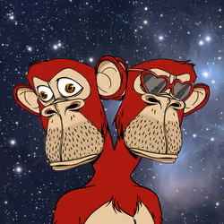 Ape #384