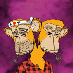 Ape #2950