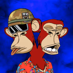 Ape #654