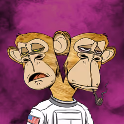 Ape #2074