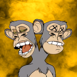 Ape #2521