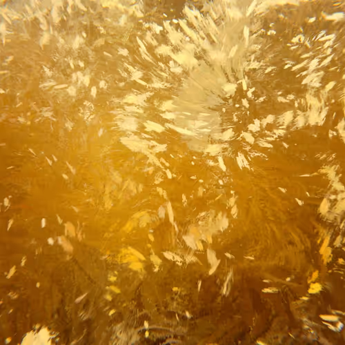 Memories of the Masters