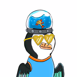 Auk211