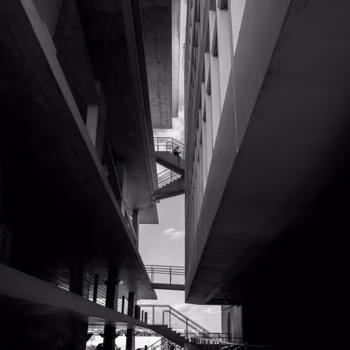 Anticipation Of Solitude