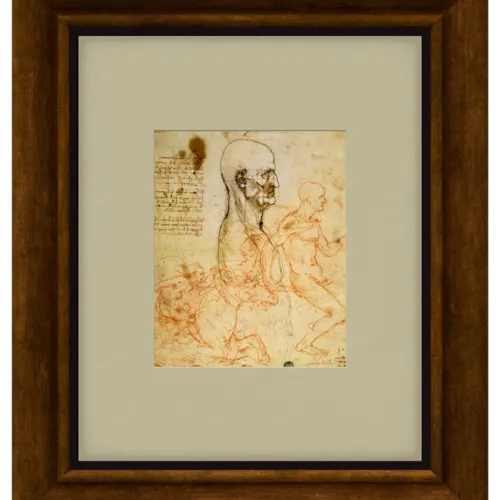 Elmonx Leonardo Da Vinci Visionary Studies