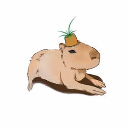 kapibara_nft #1011