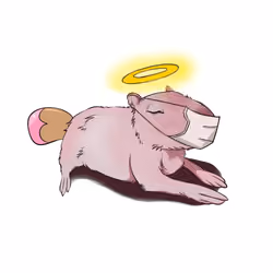 kapibara_nft #1436
