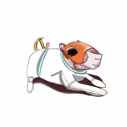 kapibara_nft #1142