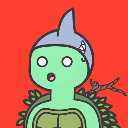 Turtle Shell Island