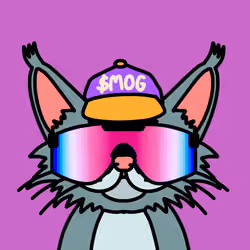 MOGCAT #79