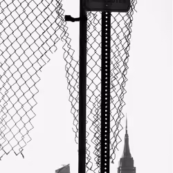 Sunshine Noir #68