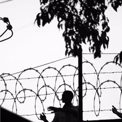 Sunshine Noir #74