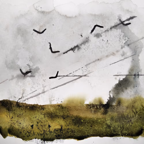 Boomerang-birds
