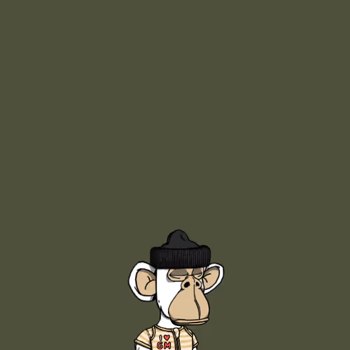 Kid Ape Playground Club