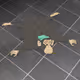 61