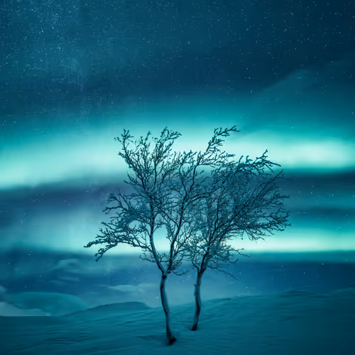 Resilience Mikko Lagerstedt