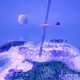 ACCRETION #1281