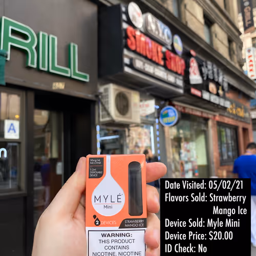 MLow // NYU Honors Thesis